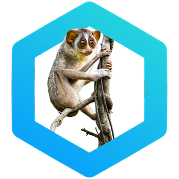 slow loris climbing a branch inside a blue hexagon