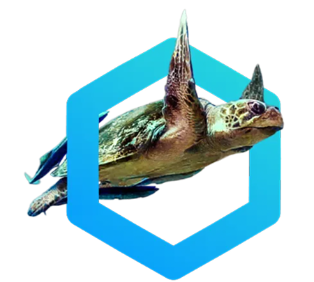 sea turtle in hexagon